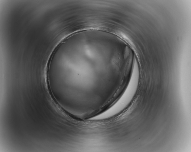 X0000088750899200705311510