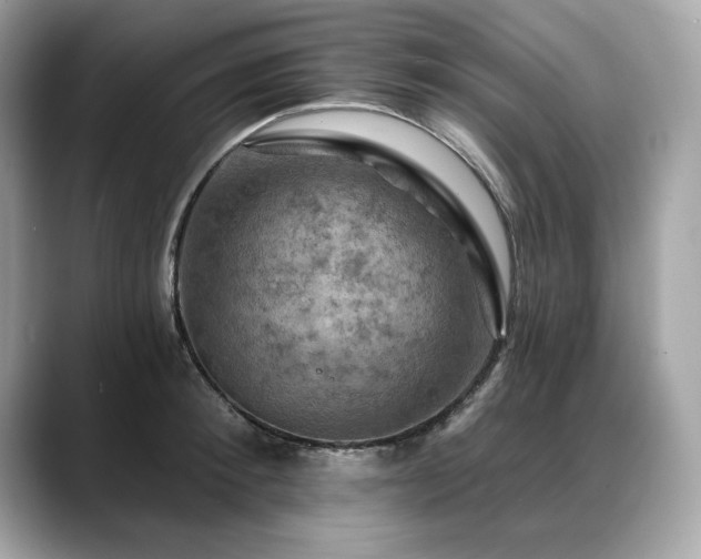 X0000088750900200705311509