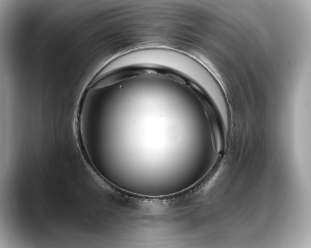 X0000088750901200705311509