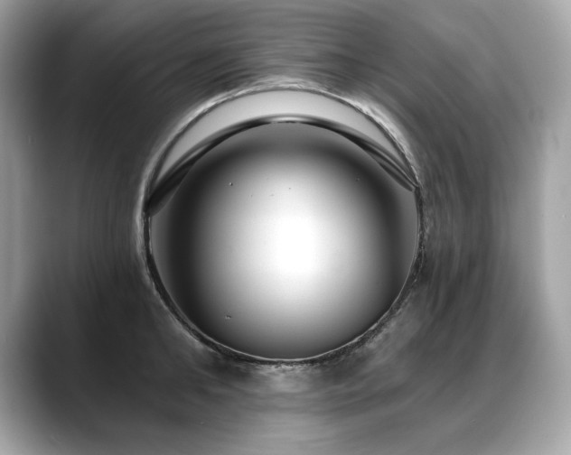 X0000088750902200705311509
