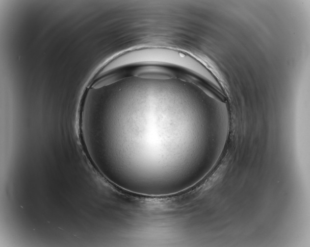 X0000088750904200705311509