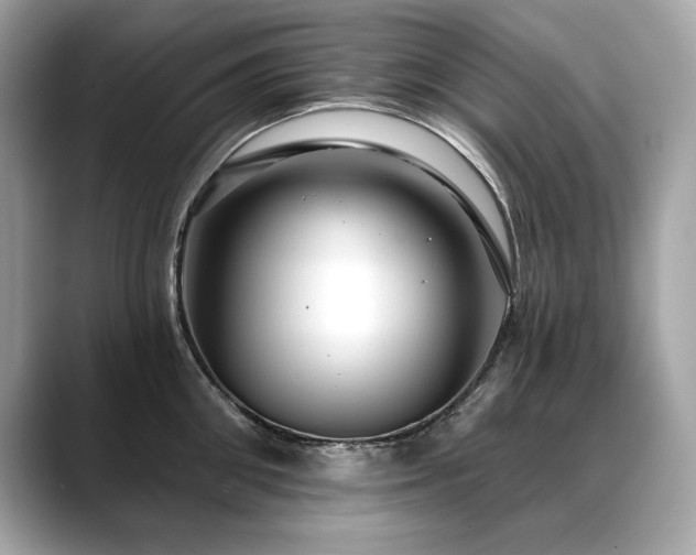 X0000088750906200705311509