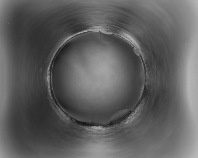X0000088750907200705311509
