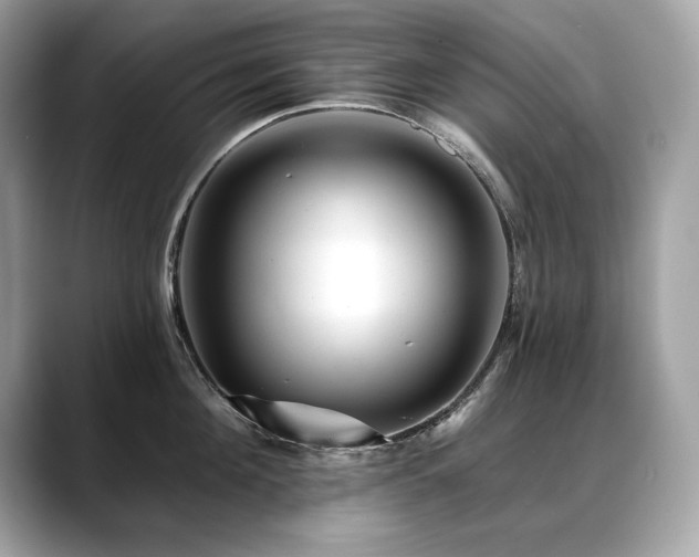 X0000088750908200705311509