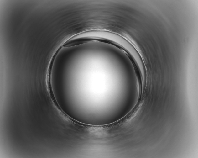 X0000088750909200705311509