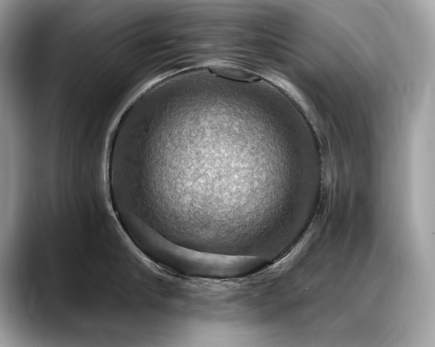 X0000088750910200705311509