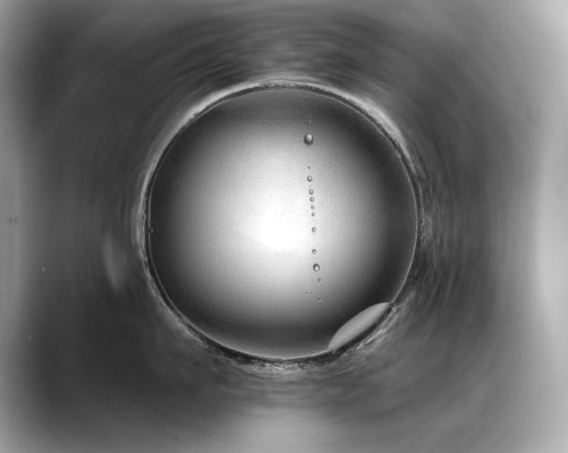 X0000088750911200705311509