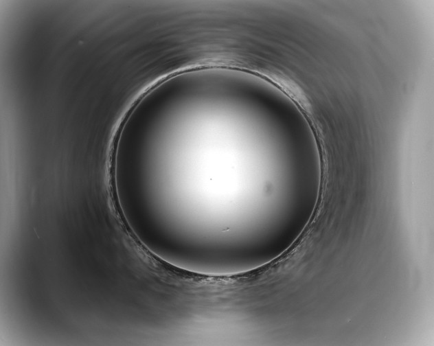 X0000088750912200705311509
