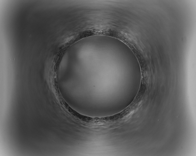 X0000088750913200705311509