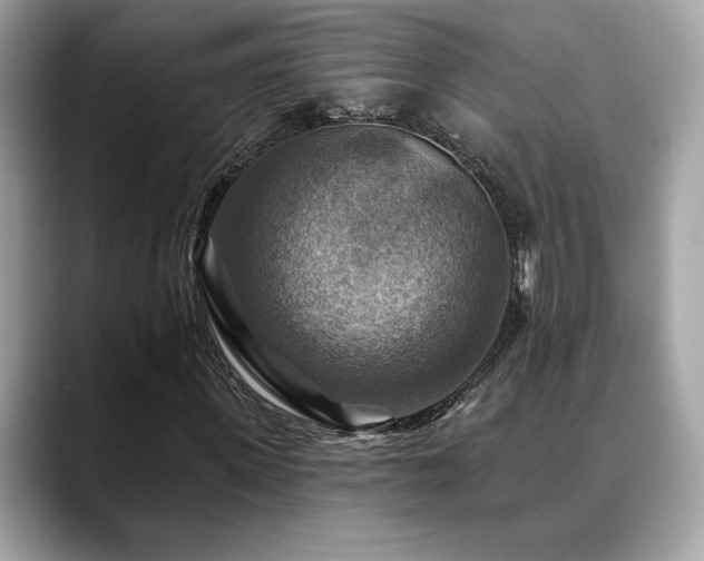 X0000088750915200705311509