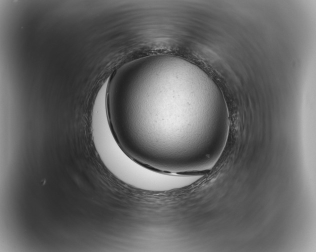 X0000088750916200705311509