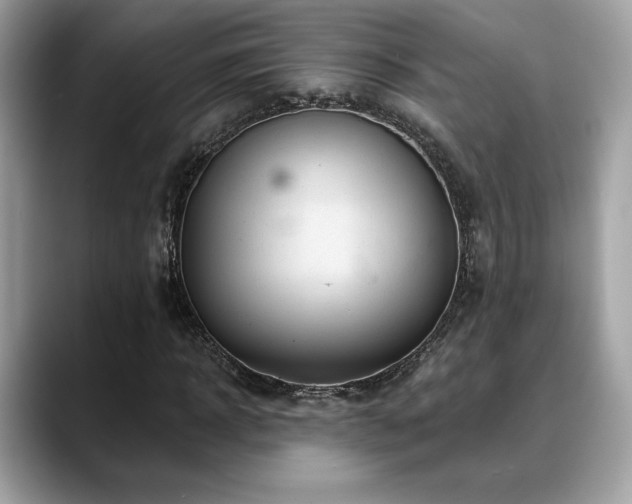 X0000088750918200705311509