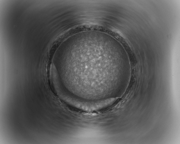 X0000088750919200705311509