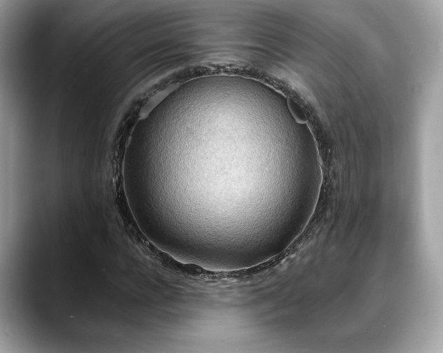 X0000088750920200705311509