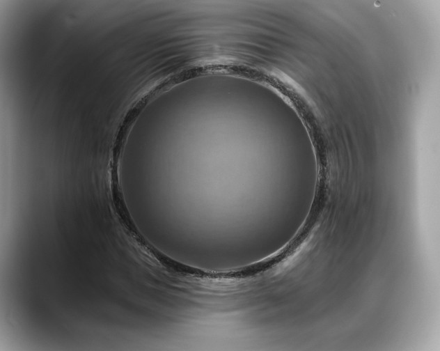 X0000088750921200705311509