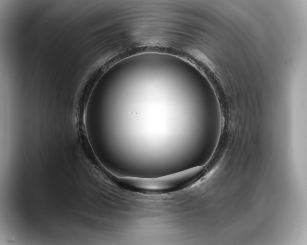 X0000088750922200705311509