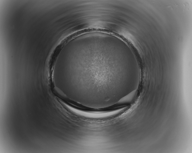 X0000088750923200705311509