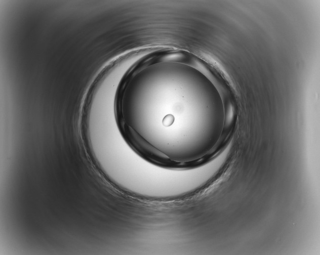 X0000088750924200705311509