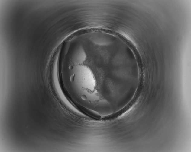 X0000088750925200705311509