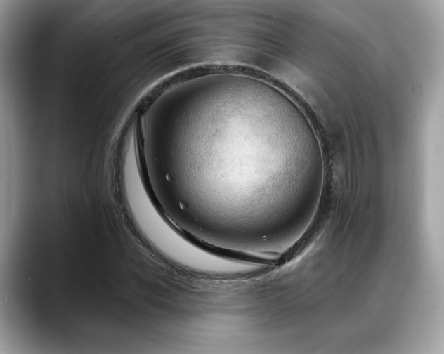 X0000088750926200705311509