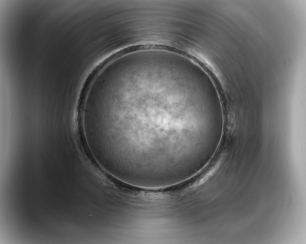 X0000088750928200705311509