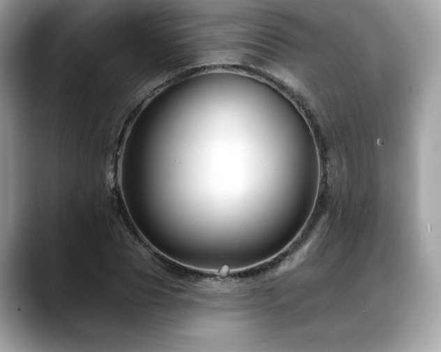 X0000088750929200705311509