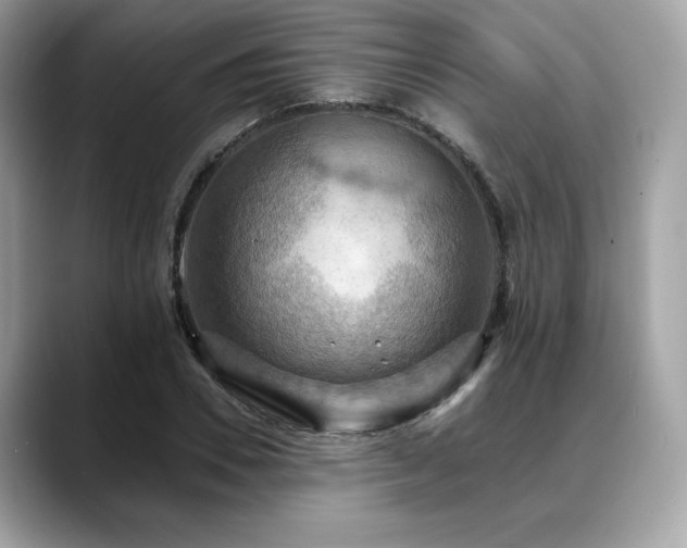 X0000088750930200705311509