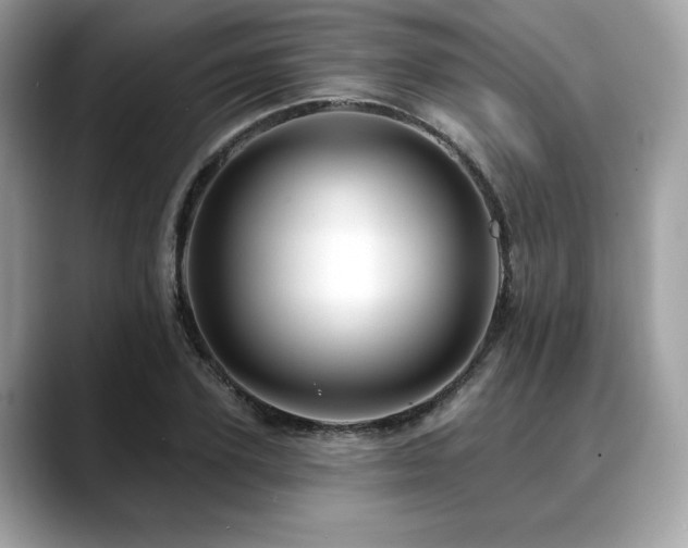 X0000088750931200705311509