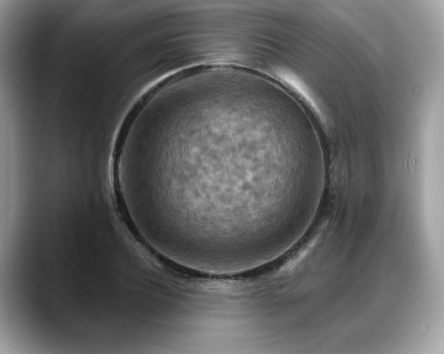 X0000088750932200705311509