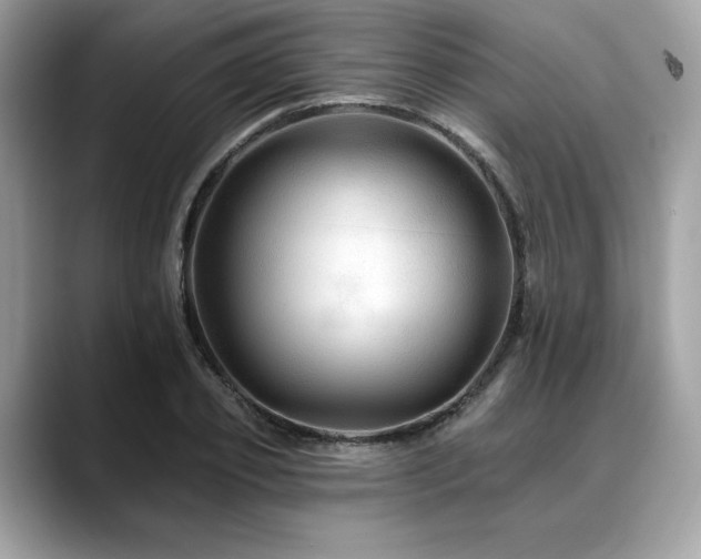 X0000088750933200705311509