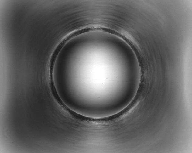 X0000088750934200705311509