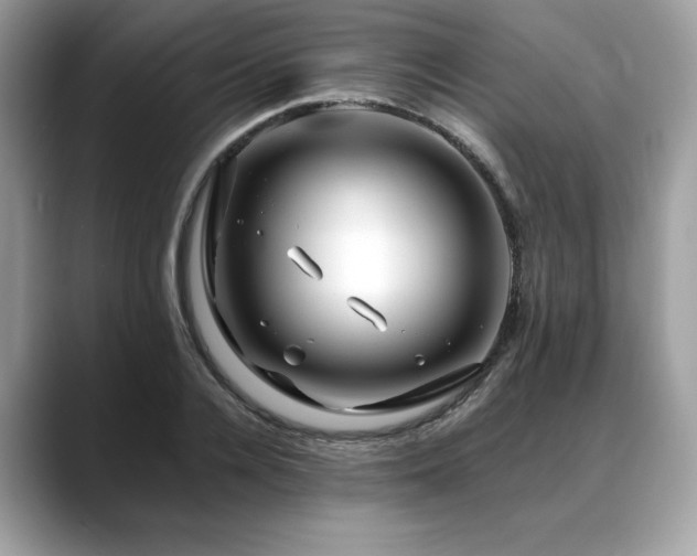 X0000088750936200705311509