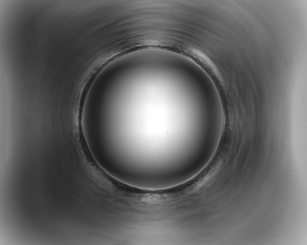 X0000088750938200705311509