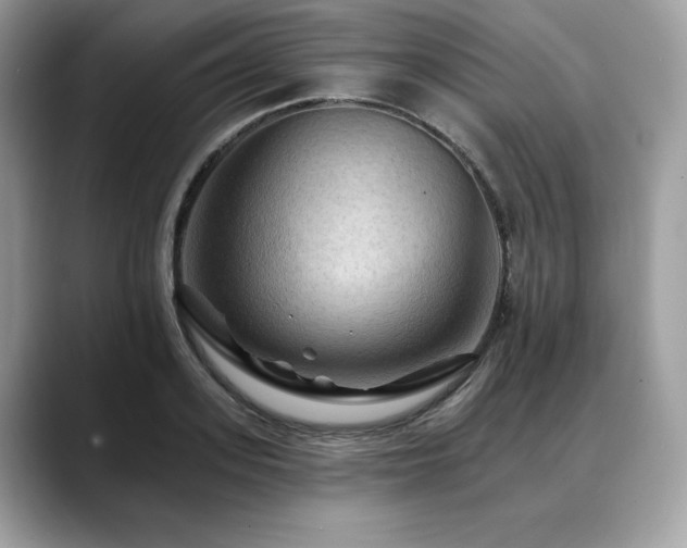 X0000088750939200705311509