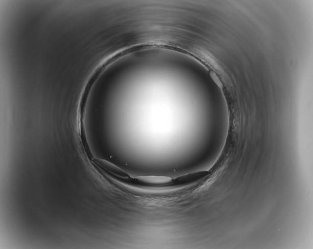 X0000088750940200705311509