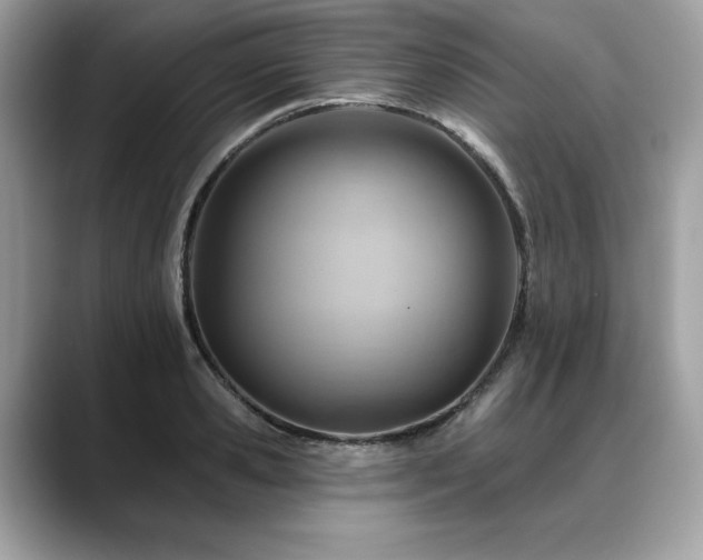 X0000088750941200705311509