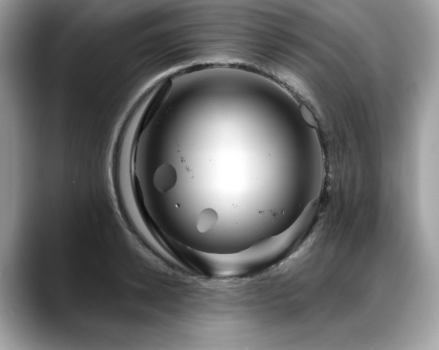 X0000088750942200705311509