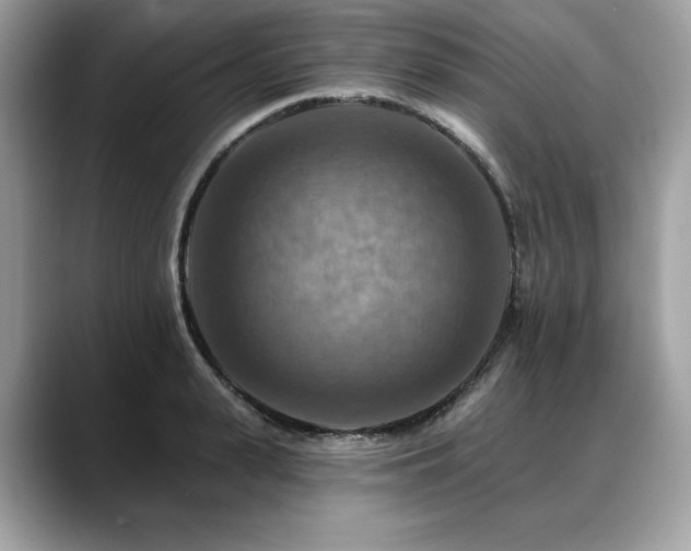 X0000088750943200705311509