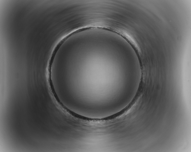 X0000088750944200705311509