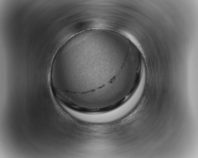 X0000088750946200705311509