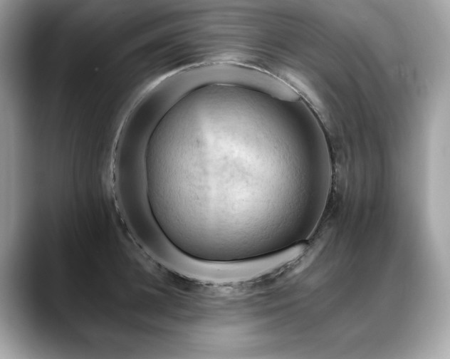 X0000088750948200705311509