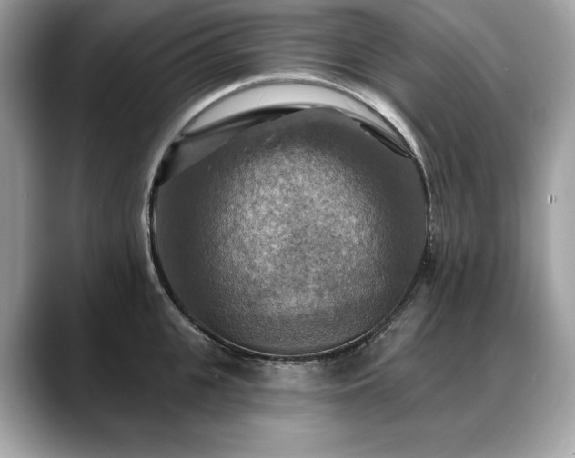 X0000088750951200705311509