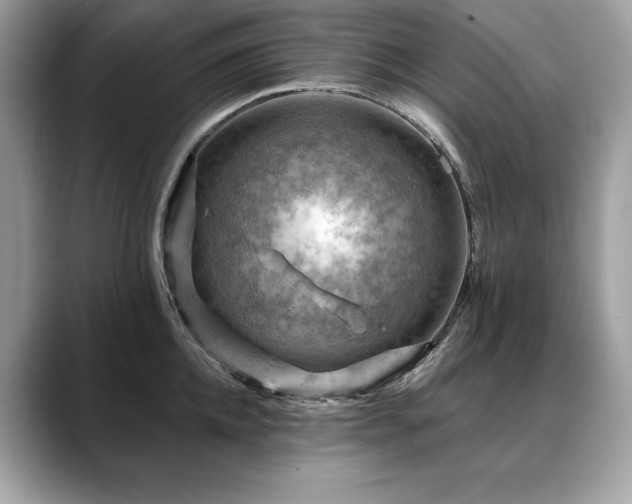 X0000088750952200705311509