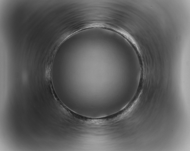 X0000088750953200705311509