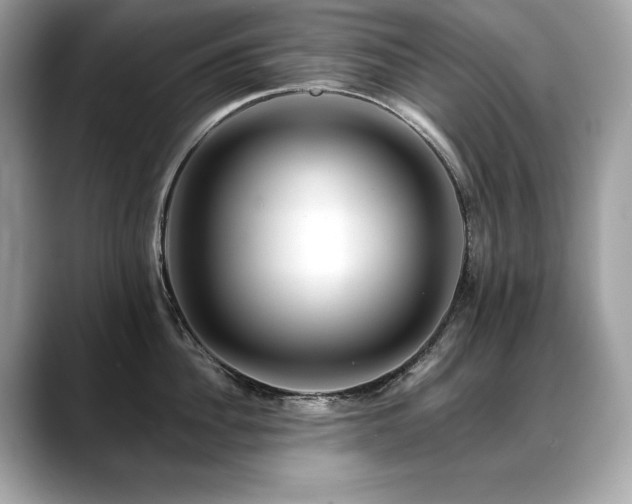 X0000088750956200705311509