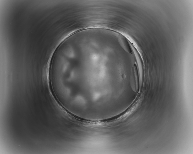 X0000088750957200705311509
