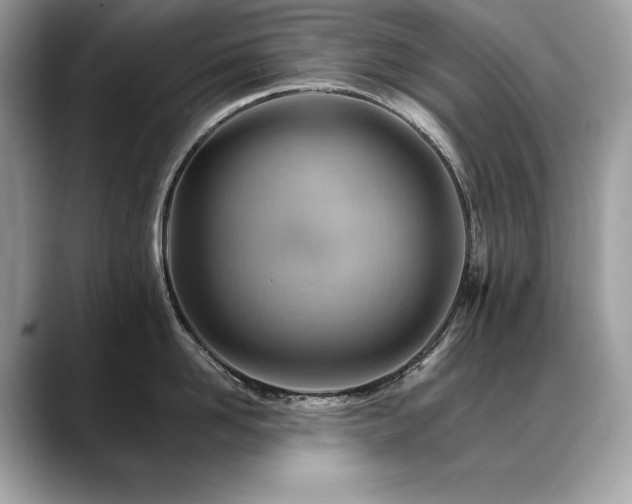 X0000088750958200705311509