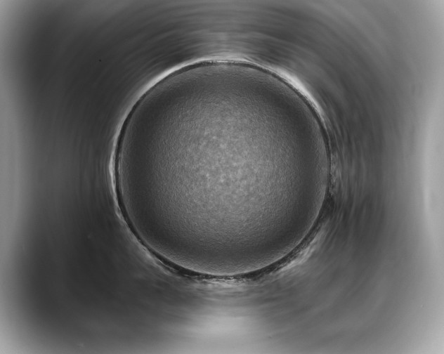 X0000088750959200705311509