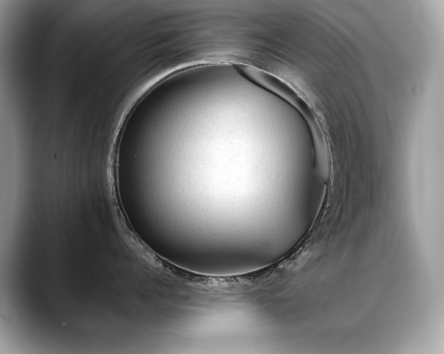 X0000088750960200705311509