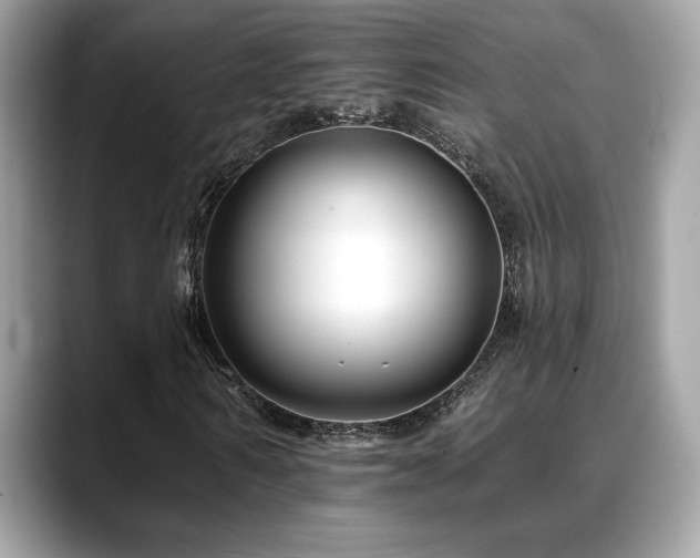 X0000088750962200705311509